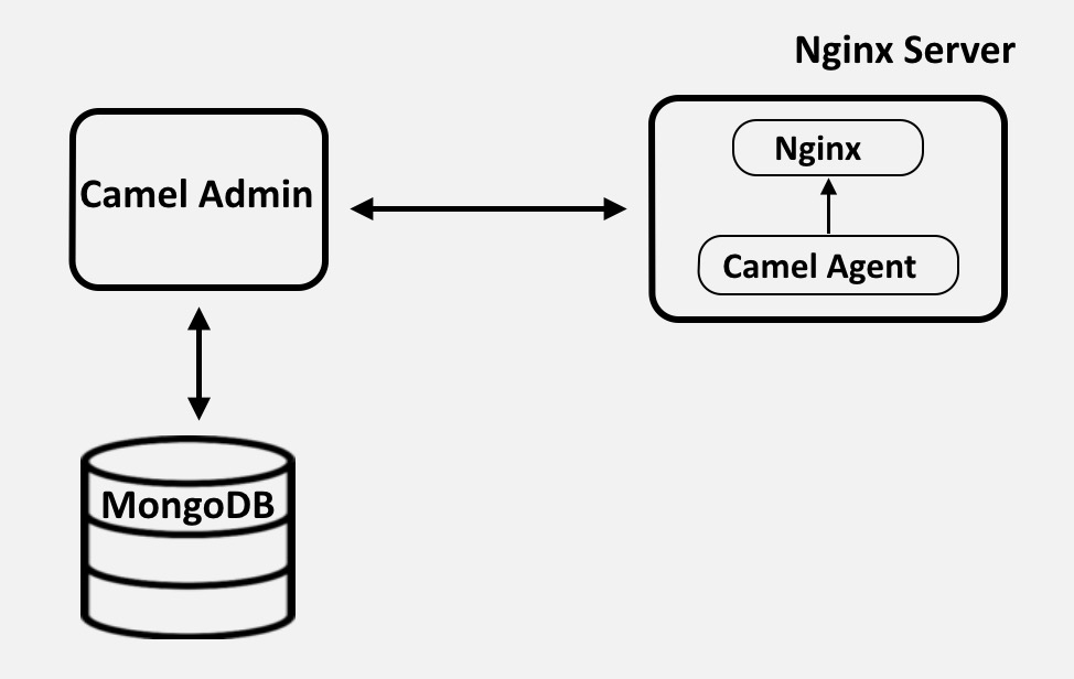 component