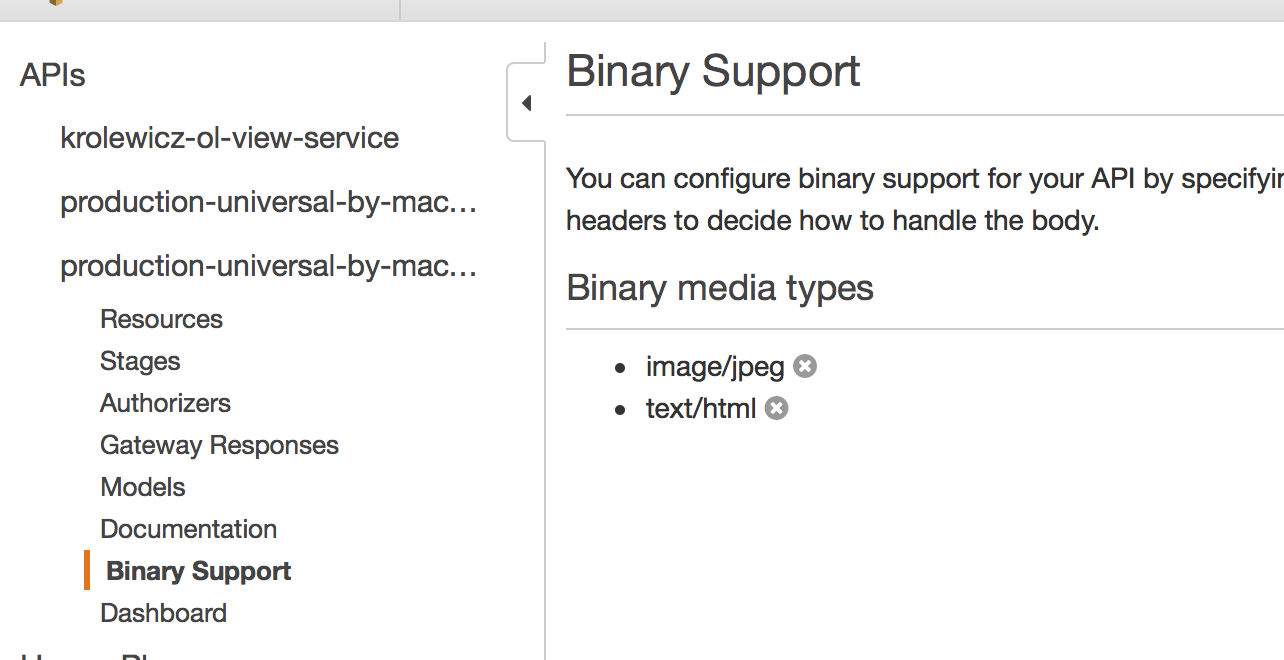 AWS API gateway binary support